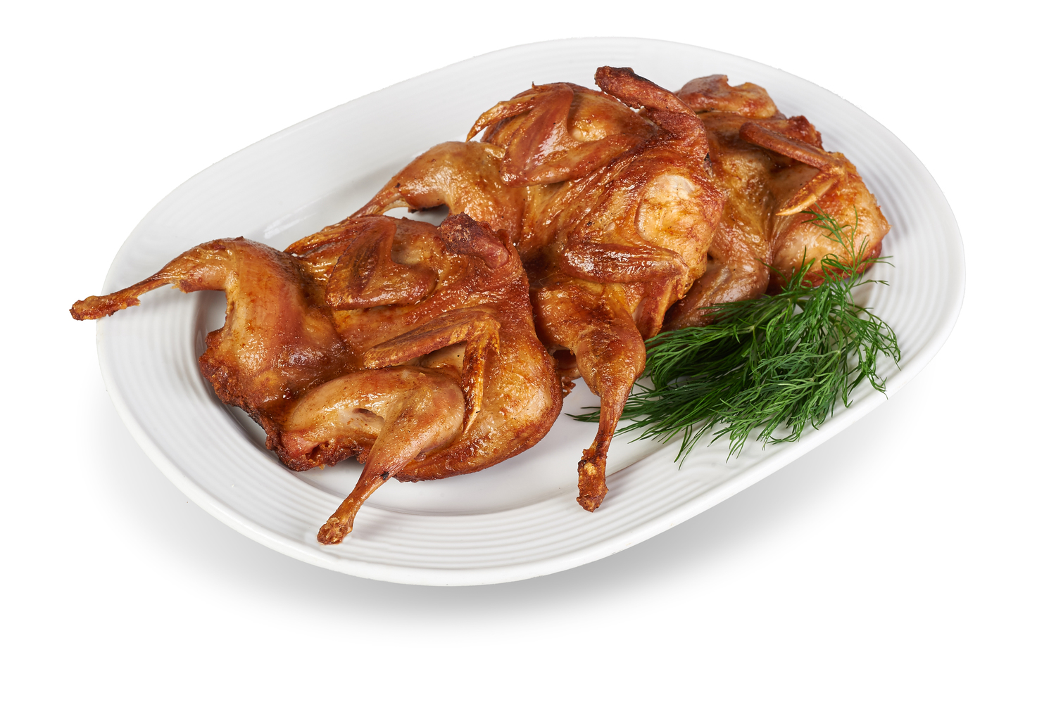 Цыплята корнишон